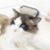 Comb Pet Teeth Water 54 Spray Cat Hair Grooming Comb Ergonomic Design Dog Hair Remover Brush Pet Beauty Tool