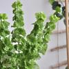 Shell-leaf Irish wind chime long-stem artificial flower decoration green 3PCS