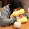 Double-sided Hand Warmer Pillow Super Soft Flower Pillow Stuffed Toy  Winter