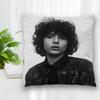 Hot Sale Custom Finn Wolfhard Square Pillowcase Zipper Pillowcase Living Room Bedroom Multi-Size 35x35cm 45x45cm