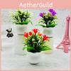 Realistic Orchid Plastic Square Pot Potted Plant For Wedding And Display Hotel