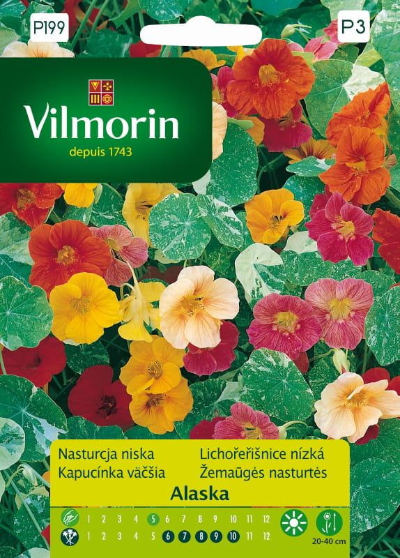 Nasturtium Low Alaska Mixture Seeds 2g - VILMORIN