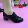 Women's Large-size Low-top Single Shoes Women's Spring and Autumn 2025 Mid-heeled Women's Leather Shoes Shallow Mouth Square Heel Mother Shoes