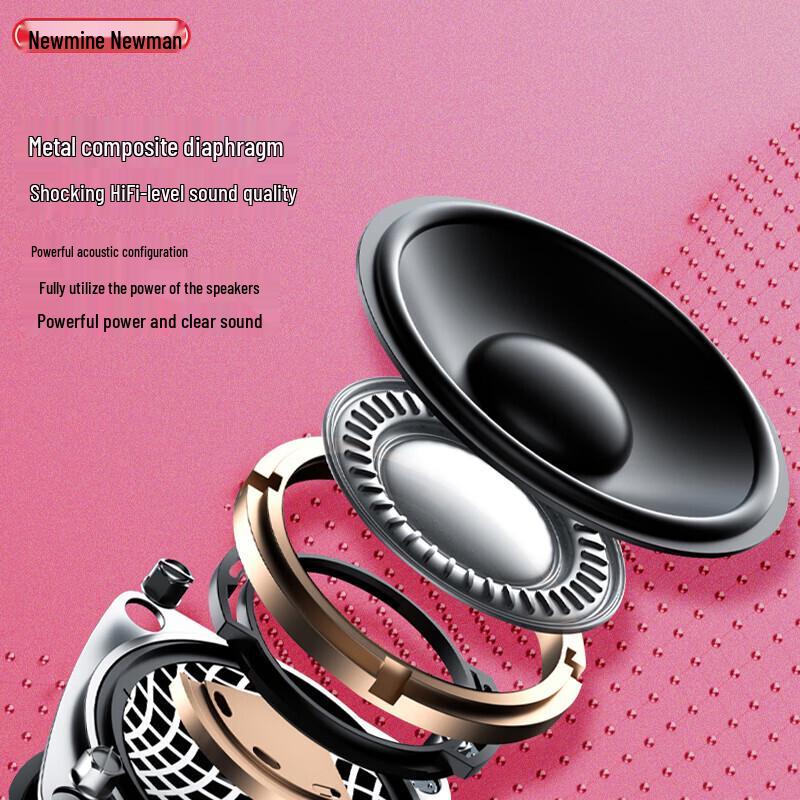 Newmine BT31 Portable Bluetooth Speaker