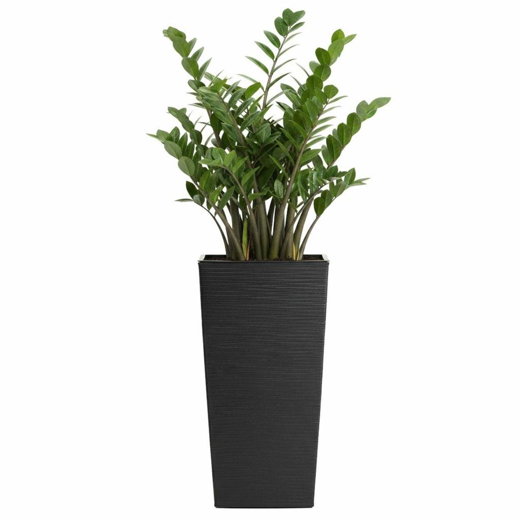 Donica Porto Riflo Czarna H46X25X25 Cm