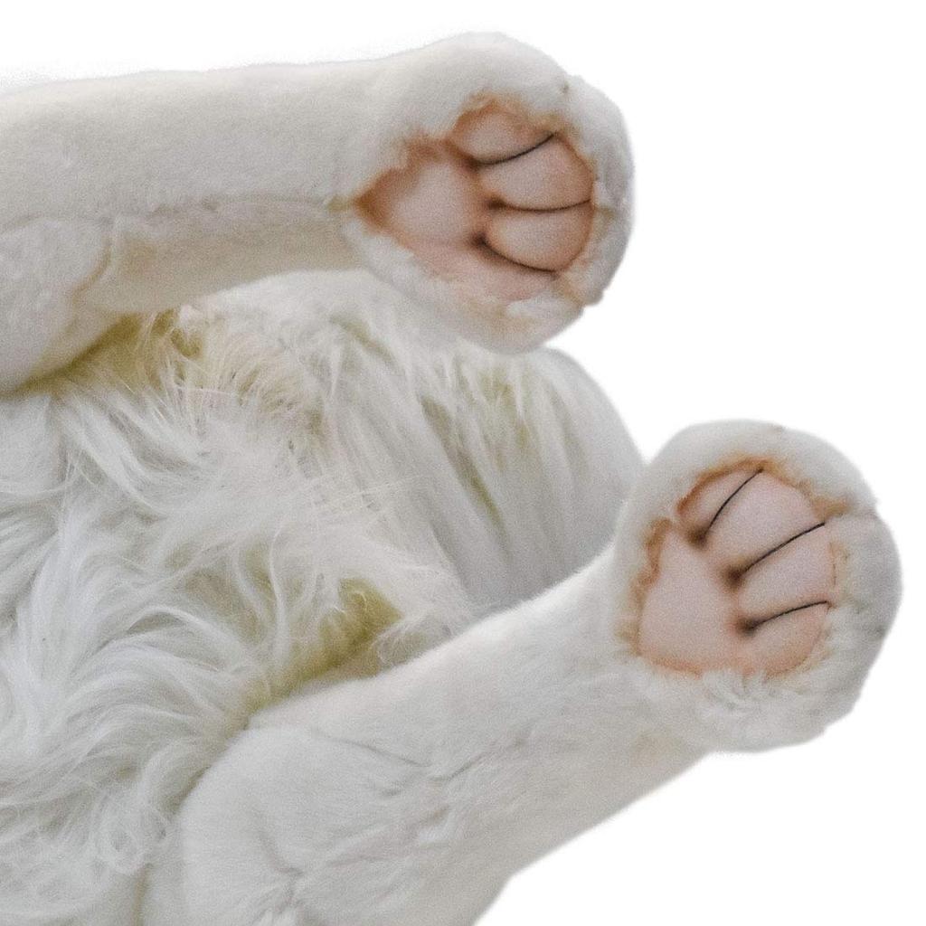 White Lion 65 BH6364