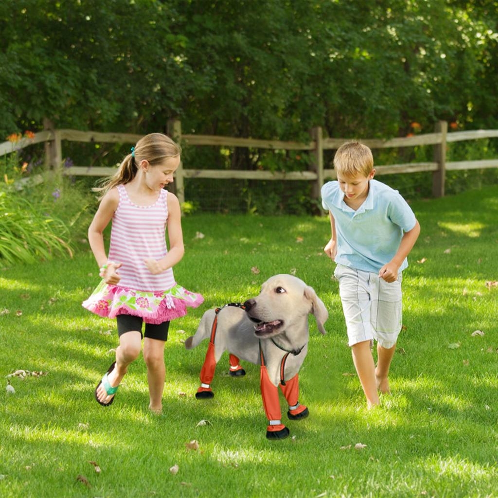 Водонепроницаемая обувь для собак, защитные ботинки для собак с подтяжками, светоотражающие ботинки для собак, регулируемая одежда для маленьких собак и девочек