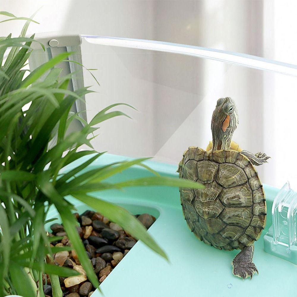 Multi-function Area Turtle Tank Bask Platform Indoor Turtle Enclosure Turtle House Reptile Habitat