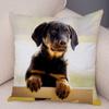 Mini Dachshund Cushion Cover Decor Pet Animal Pillowcase Sofa Home Children's Room Pillowcase