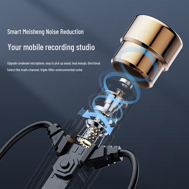 Hunter Wolf Wired Ear-hook Headset for Live Streaming & KTV