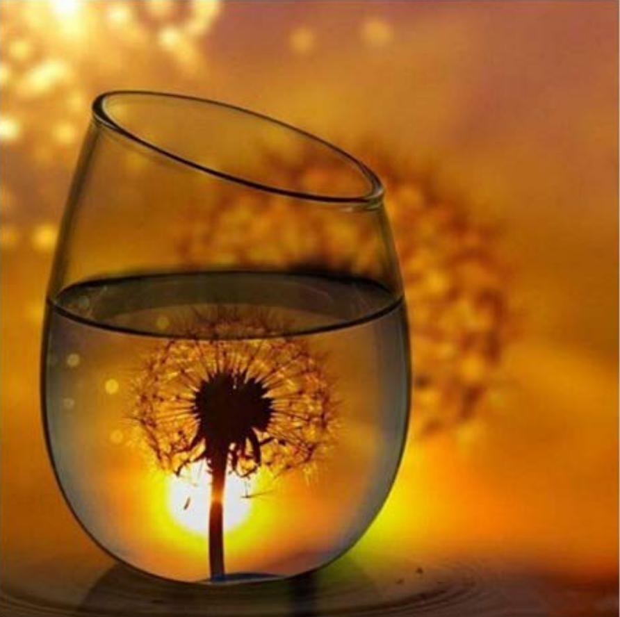 DIY 5D алмазная картина жираф алмазная вышивка мозаика стразы животное вышивка крестом полный круглый сверло ручной художественный домашний декор