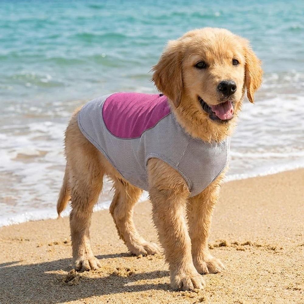 Breathable Mesh Dog Cooling Ice Vest Sun Protection Pet Cool Clothes Outdoor Activities