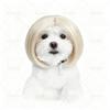 Pet Wig Curly Straight Hair Dog Cat Wig for Halloween Cosplay Party Pet Costume Accessory Multiple Color Options