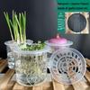Transparent Plastic Hydroponic Planting Cylinder for Garlic, Potatoes, Beans, and Vegetables