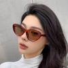 Non-polarized Retro Y2K Concave Cat Eye Sunglasses Women Fashion New Sun Glasses Cat Eye Eyeglasses for Female