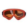 X400 Anti-Fog Multi-Sport Goggles