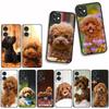 Чехол Cover для Samsung Galaxy A55 A56 A25 A36 A54 S8 S9 S21 S20 FE A53 A13 A12 A14 A33 A70 A71 A51 A21S Чехол Собака Пудель