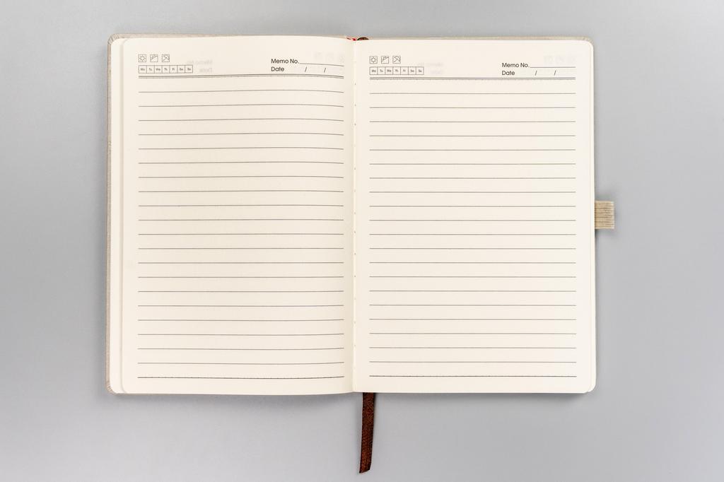 Notebook PTN NOT-6-6287 Beige