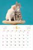 Календарь Накаёши Собаки/Ньян на 2025 год Каждый день – время отдыха > ([Календарь])