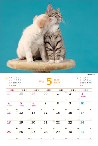 Календарь Накаёши Собаки/Ньян на 2025 год Каждый день – время отдыха > ([Календарь])