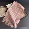 Корейские стили Роскошный полосатый Зимний женский шарф Имитация кашемира Одеяло Толстый Теплый Пашмина Шаль Накидки Кисточка Эшарп