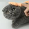 Забавный мультяшный набор креативных мини-кукол на пальцы, мягкие ручки, модель с пятью пальцами, дразнящие движения, игрушки для кошек и домашних животных, подарок на Хэллоуин.