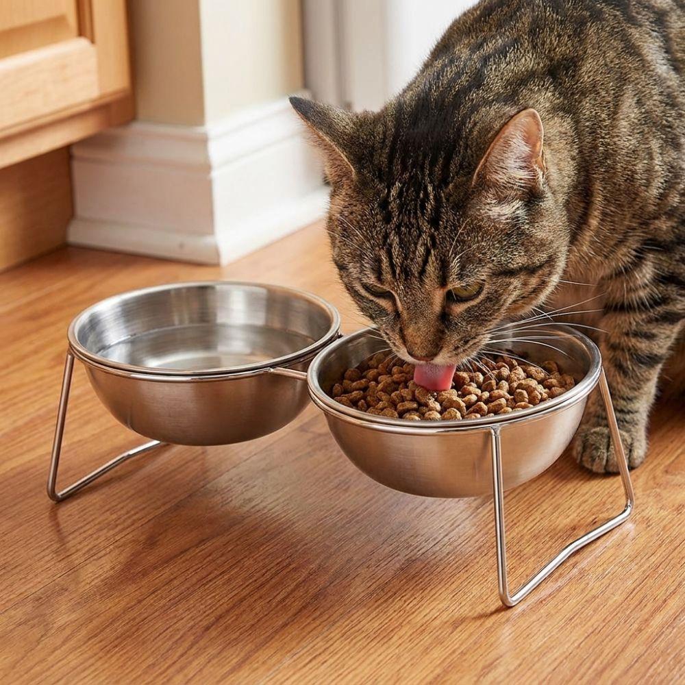 Large Capacity Stainless Steel Cat Bowl Anti-Tipping Double Water Bowls for Kitten
