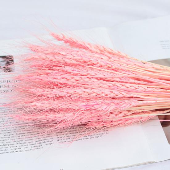 Практичная сушеная овсяная трава, яркая, не требует воды, деревенский стиль