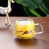 200ML Clear Glass Mug Double Wall Insulated Cup with Handle Aesthetic Dehydrated Flower Design Heat Preserving Tumbler for Coffee Tea