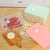 Transparent Dumpling Box Multi-Layer Food Freezer Storage Box Food Egg Frozen Box  Refrigerator