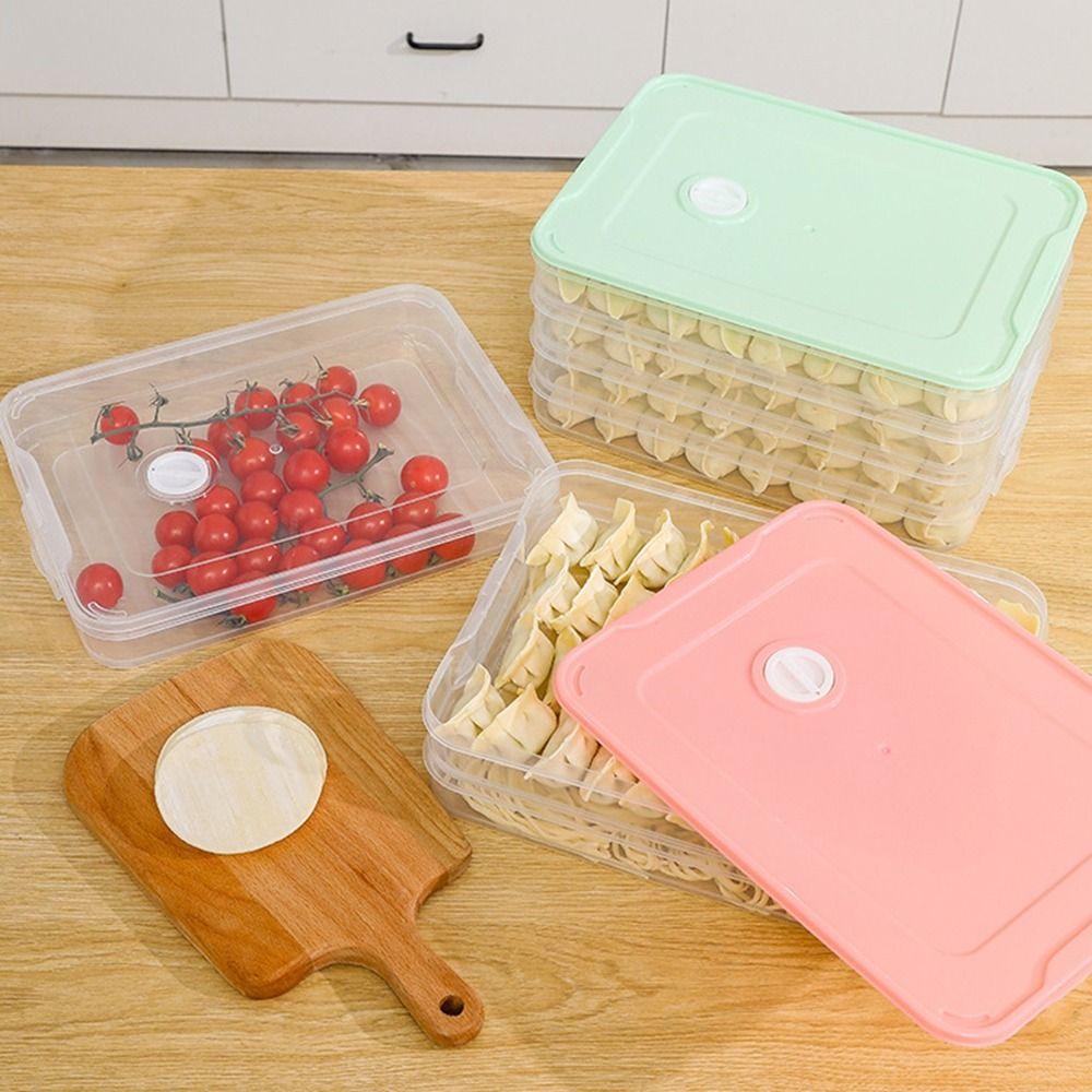 Transparent Dumpling Box Multi-Layer Food Freezer Storage Box Food Egg Frozen Box Refrigerator