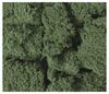KATO Diorama Supplies Terra Plants Dark Green Railway Model Supplies 24-321