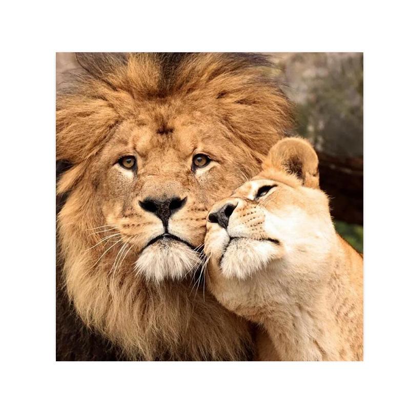 Дикий лев холст картины постеры и принты современное настенное искусство картина для гостиной украшение дома Cuadros