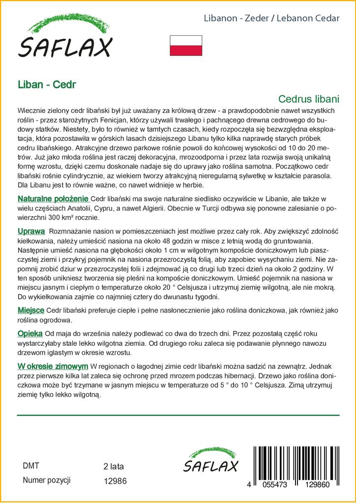 SAFLAX Ливанский кедр - 20 семян - Cedrus libani