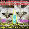 Antibacterial Cat Eye Drops 60ml Safe Gentle Solution for Eye Infections Kitten Adult Cat Chinese Product
