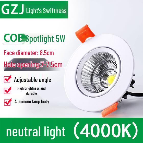 Recessed 20W Spotlight Downlight for Clothing Stores, 15-30W Commercial Ceiling Light
