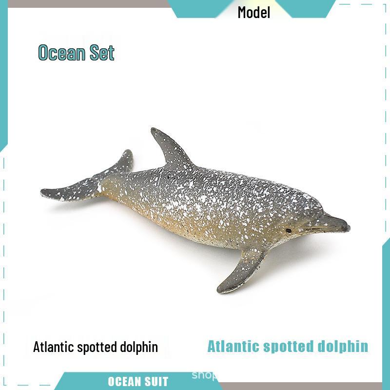 Children's Marine Animal Model Set: Mini Whale, Shark, Dolphin, Turtle, Sea Lion