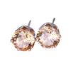 Ear Studs Elegant All Match Cubic Zirconia Round Exquisite Earrings