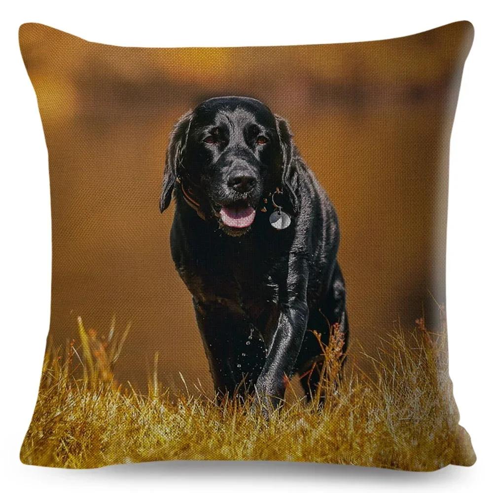Cute Black Labrador Dog Double-Sided Printed Pillow Cover Short Plush Suitable Living Rooms Bedrooms Sofas Throw Cushion Cover