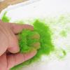 Material Garden Artificial Moss DIY Accessories Micro Landscape Decoration Artificial Grass Powder
