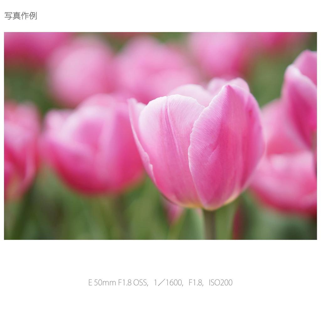 Sony Single Focus Lens E 50mm OSS Format Only F1.8 APS-C