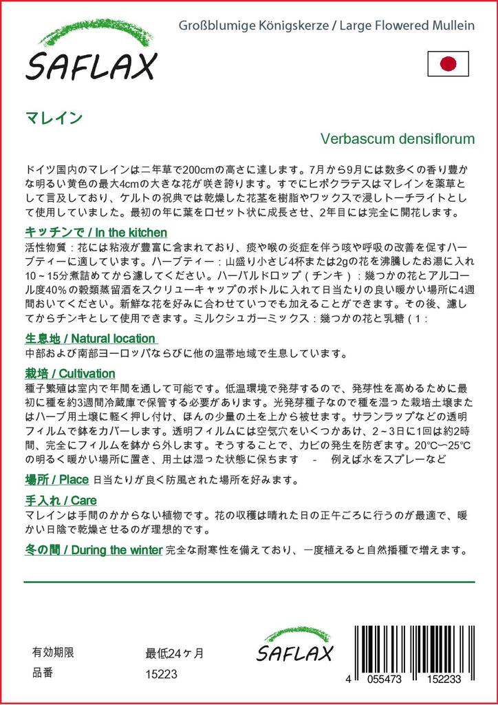 SAFLAX Garden in the Bag - Коровяк крупноцветковый - 500 семян - С субстратом в подходящем мешке - Verbascum densiflorum