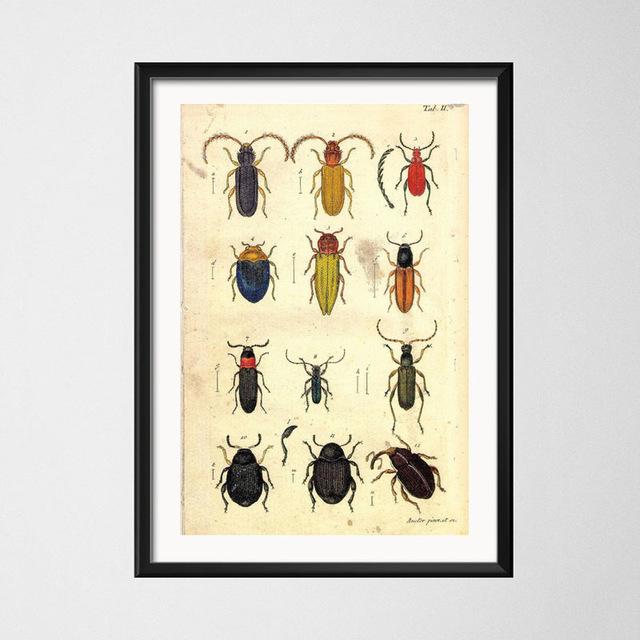 Винтажный стиль плакаты бабочка насекомое холст картины постеры и принты настенная художественная картина для гостиной домашний декор Cuadros