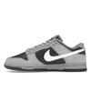 Nike Dunk Low Light Smoke Grey Anthracite Unisex Sneakers HV2532-001