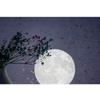 8cm Indoor Ornament Home Decoration Creative Luminaires Moon Lamp LED Night Light Indoor Lighting