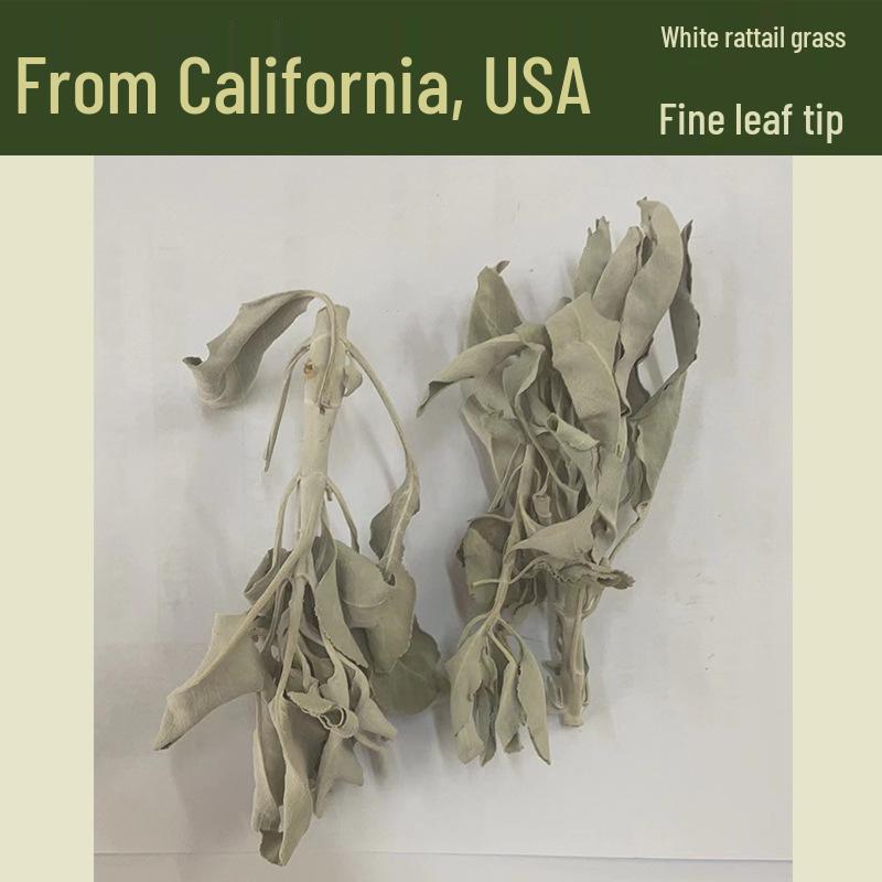 North American Blue Sage Cedar Incense Stick for Meditation and Prayer