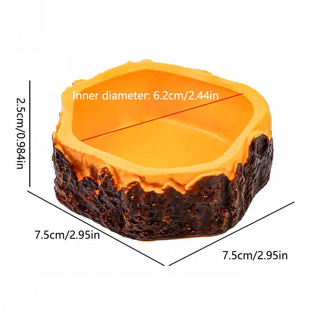 Tree Stump Shape Reptile Feeding Bowl Multicolor Reptile Bathtub for Tortoises