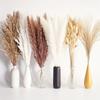 Source Yunnan Dried Flower Bouquet Combination, Real Flower Pampas Grass Home Decoration Reed Rabbit Tail Grass Dried Flowers