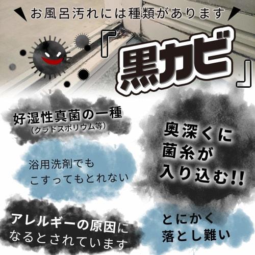 LEC Super Clean Black Mold Cleaner for Bathrooms, Polishing Brush with Abrasive & Soft Brush (Set of 3) S00116