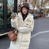 Thickened Cotton Long Overcoat for Women, Elegant and Warm Coat for  Winter